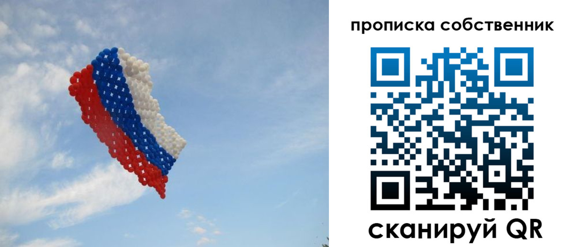 временная регистрация поиск в Покрове